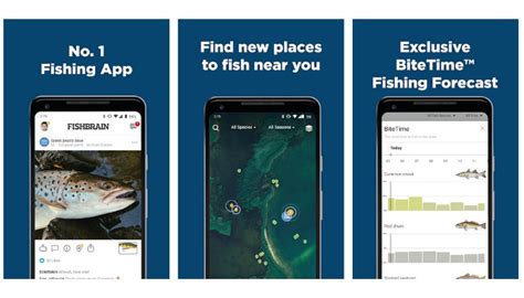 10+ Best Fishing Apps 2024 – Fishing Apps Review .